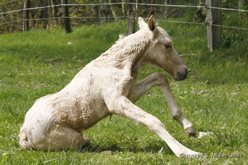 Hjoerdis 18 Min alt (10).JPG